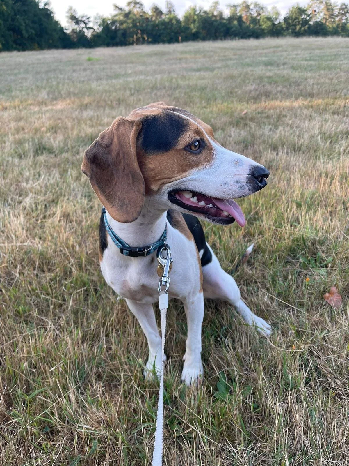 13F2DB7C-7C4D-4171-BC9B-FFCBDB58264D