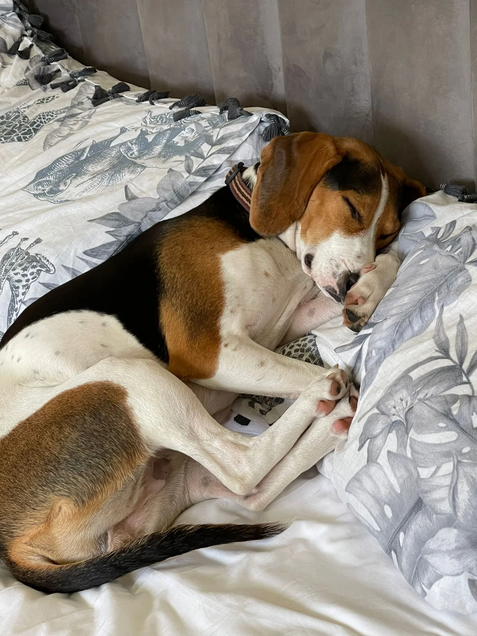 719AC788-79CD-401C-804A-BF3142560EC9