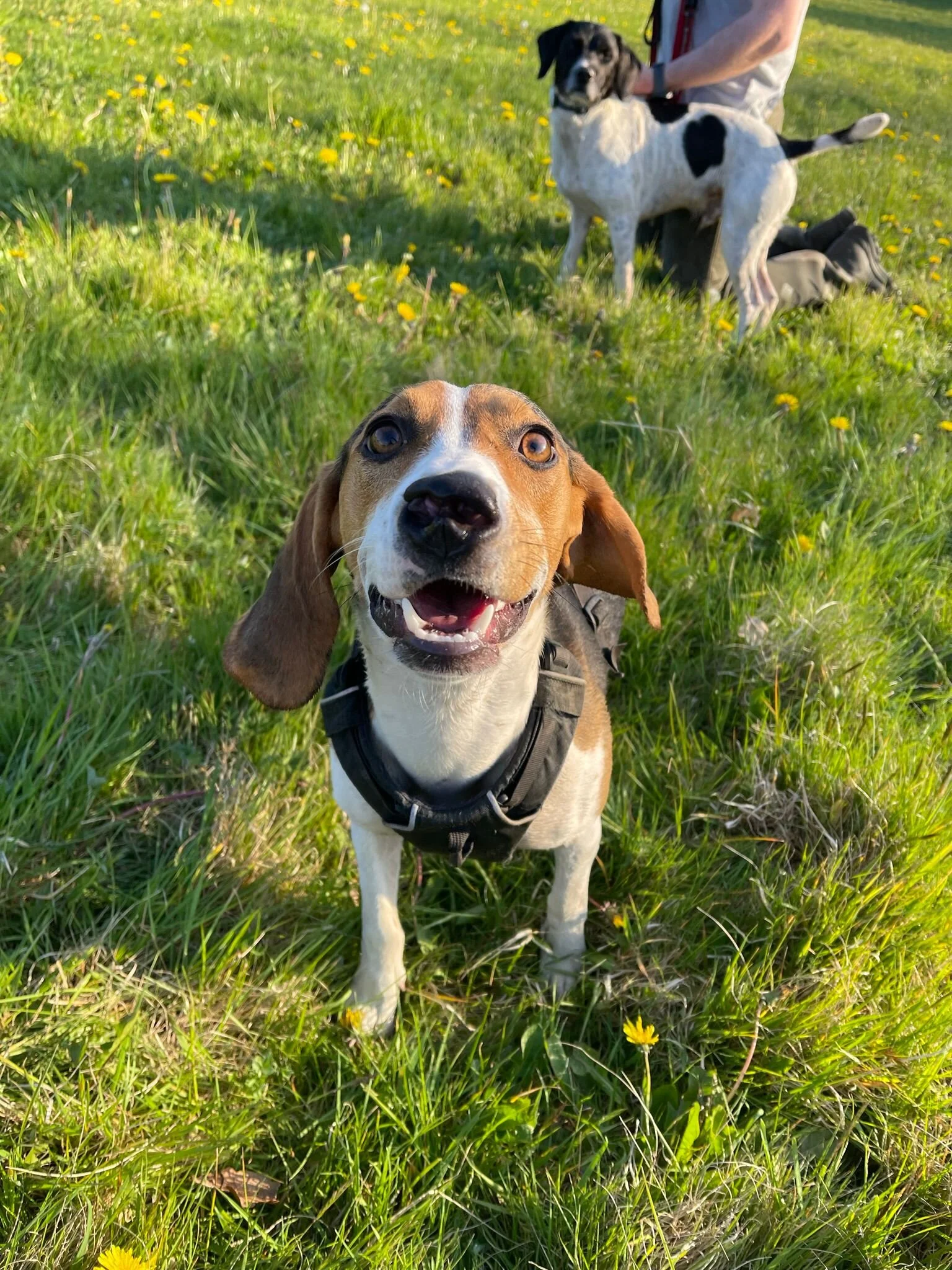 D1215547-6D8F-4FA0-BDB7-9C7155C2FFA4