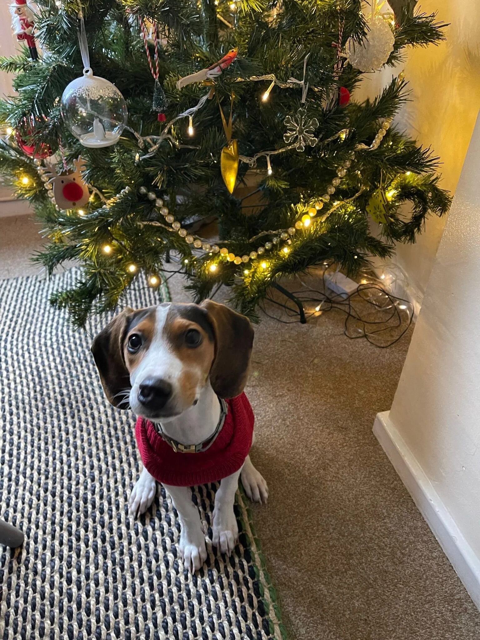 1D29E7ED-3509-47AD-8D4A-411CEB8DE9A2