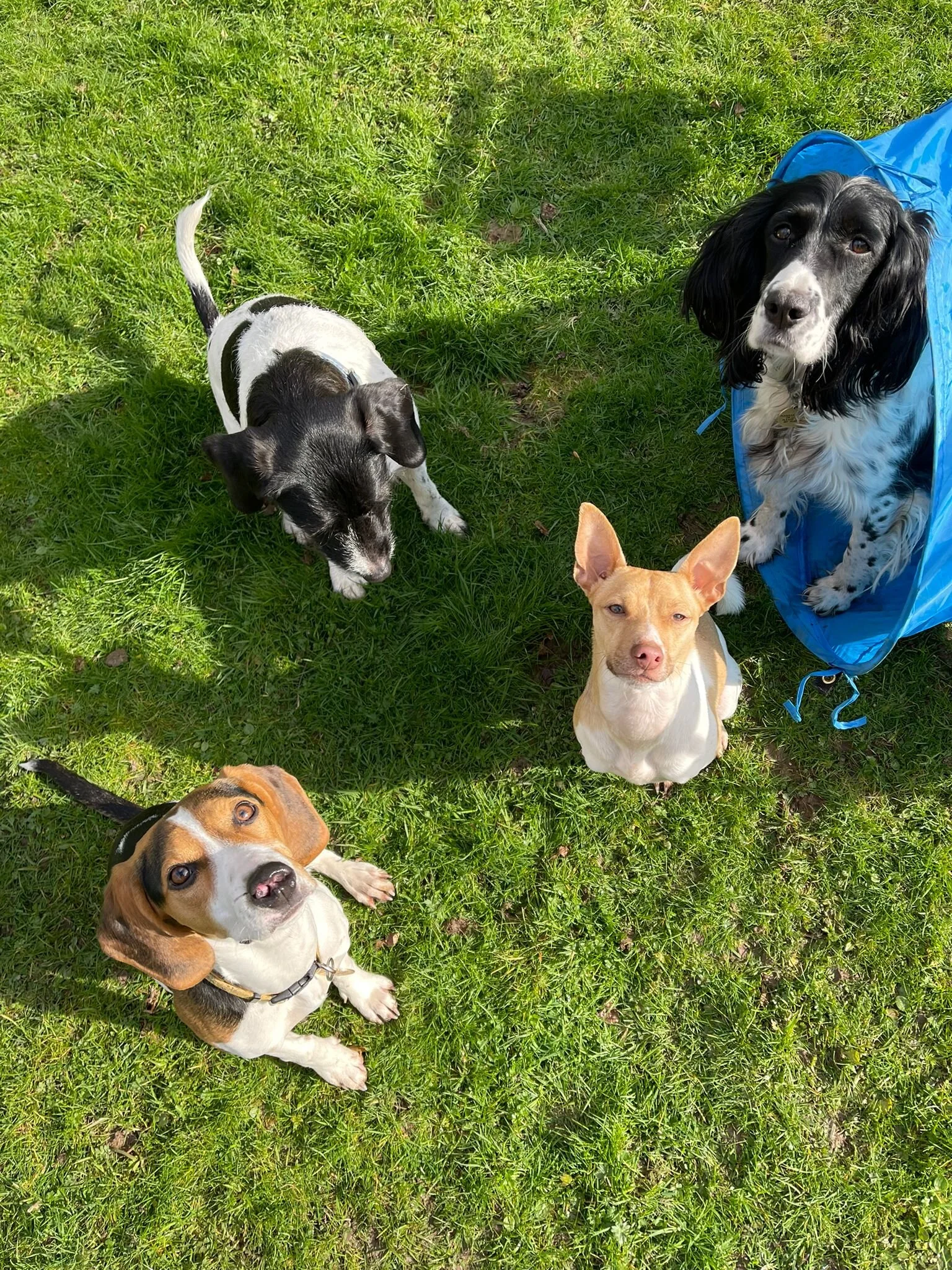 E5751E98-D2D7-4014-959E-158CE98CEBF5