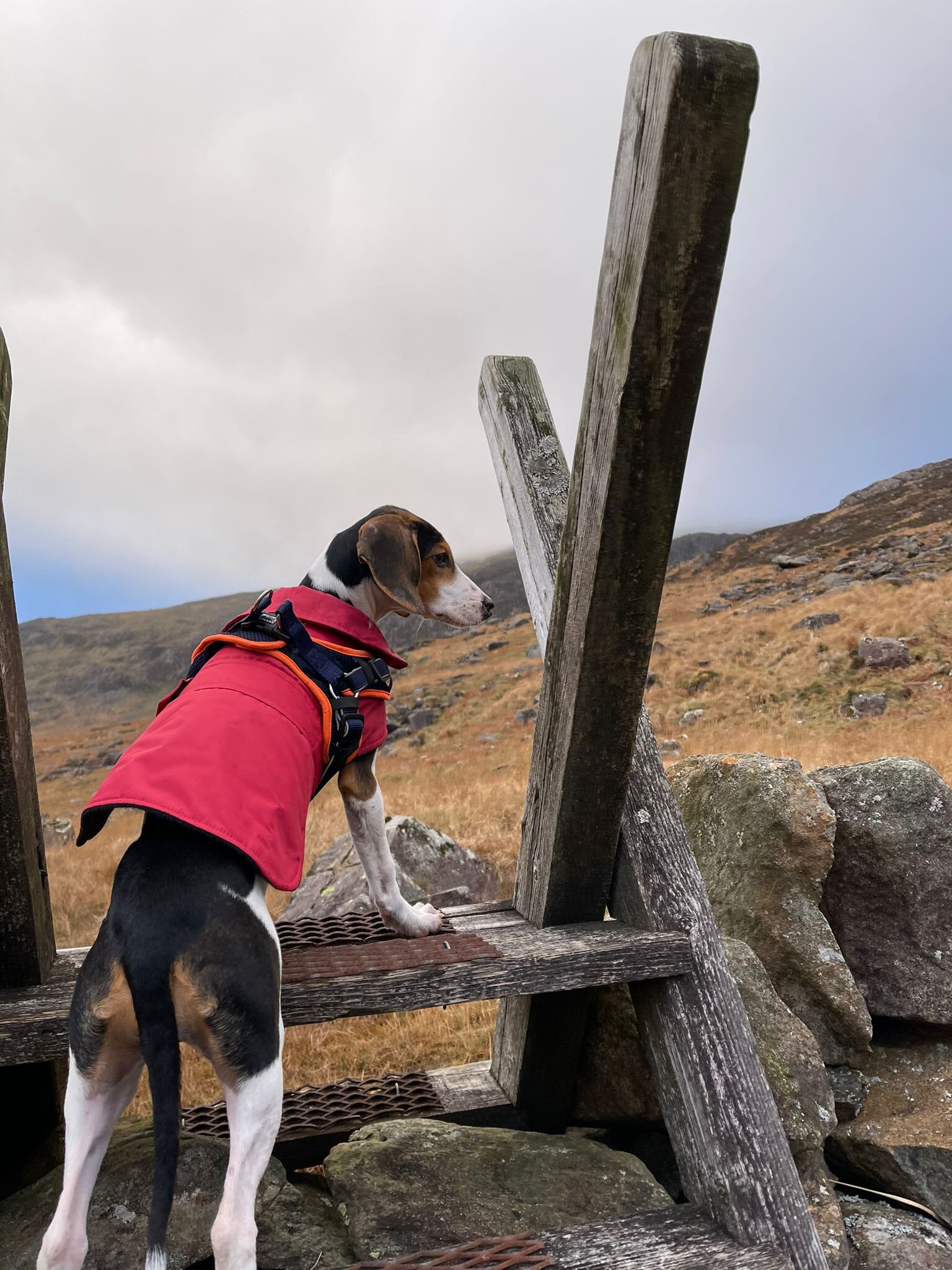 9CE67F15-8D75-47E8-B470-EBB56D33F4C5