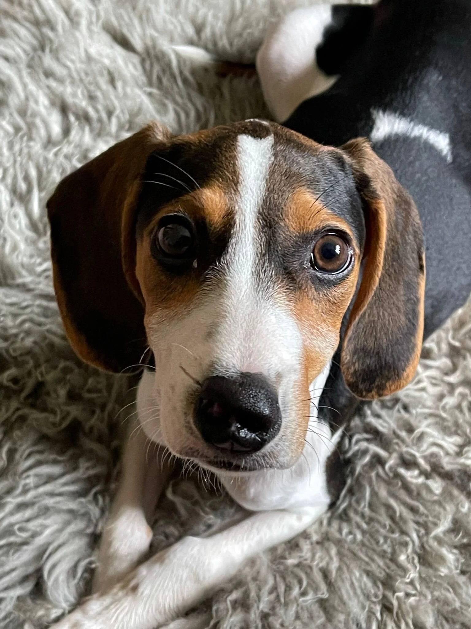 155A992F-EECF-4720-9581-D5CDE050D75D