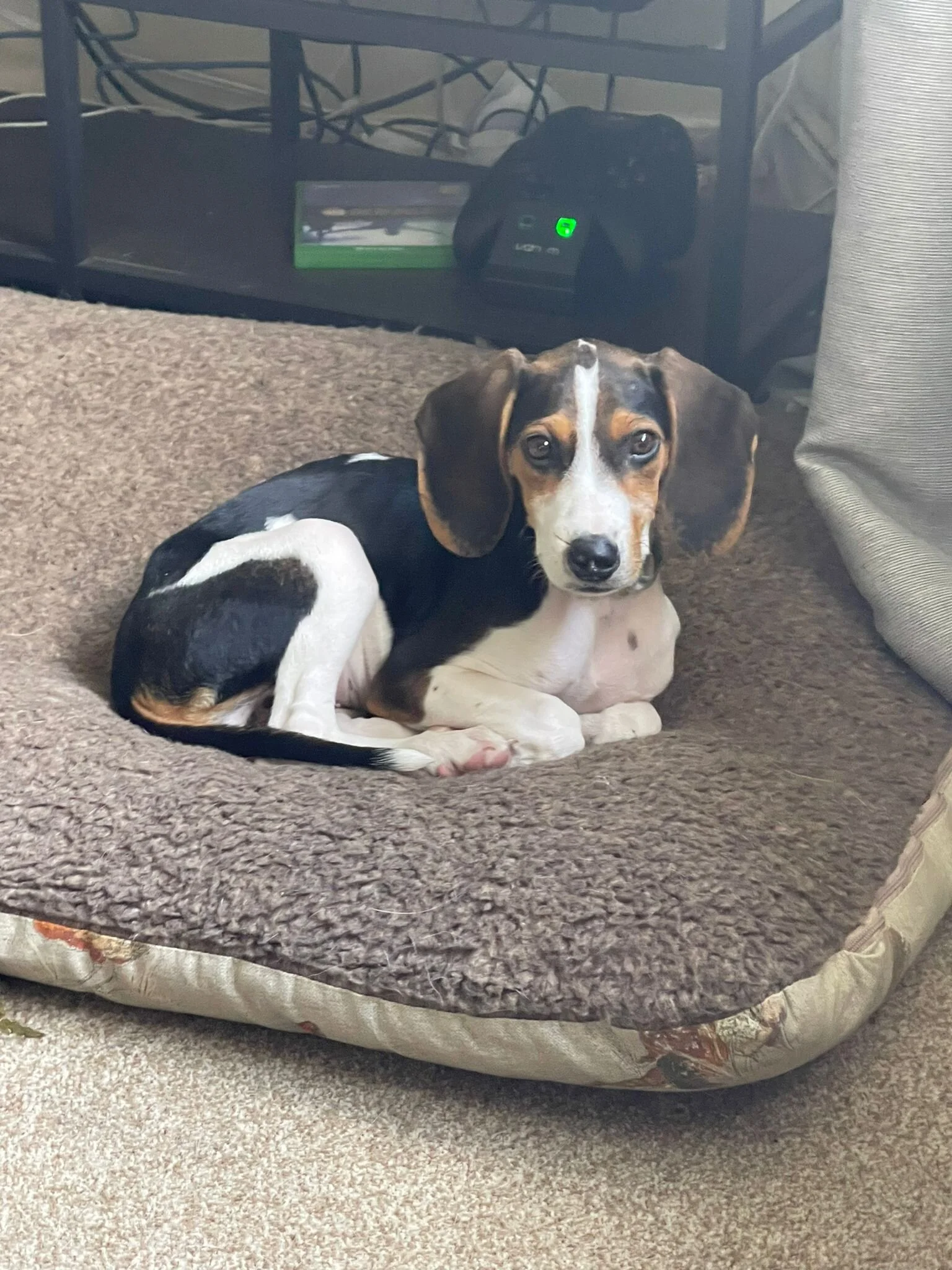 DA595CBE-8207-4362-9B8D-0D5DFF3D0298