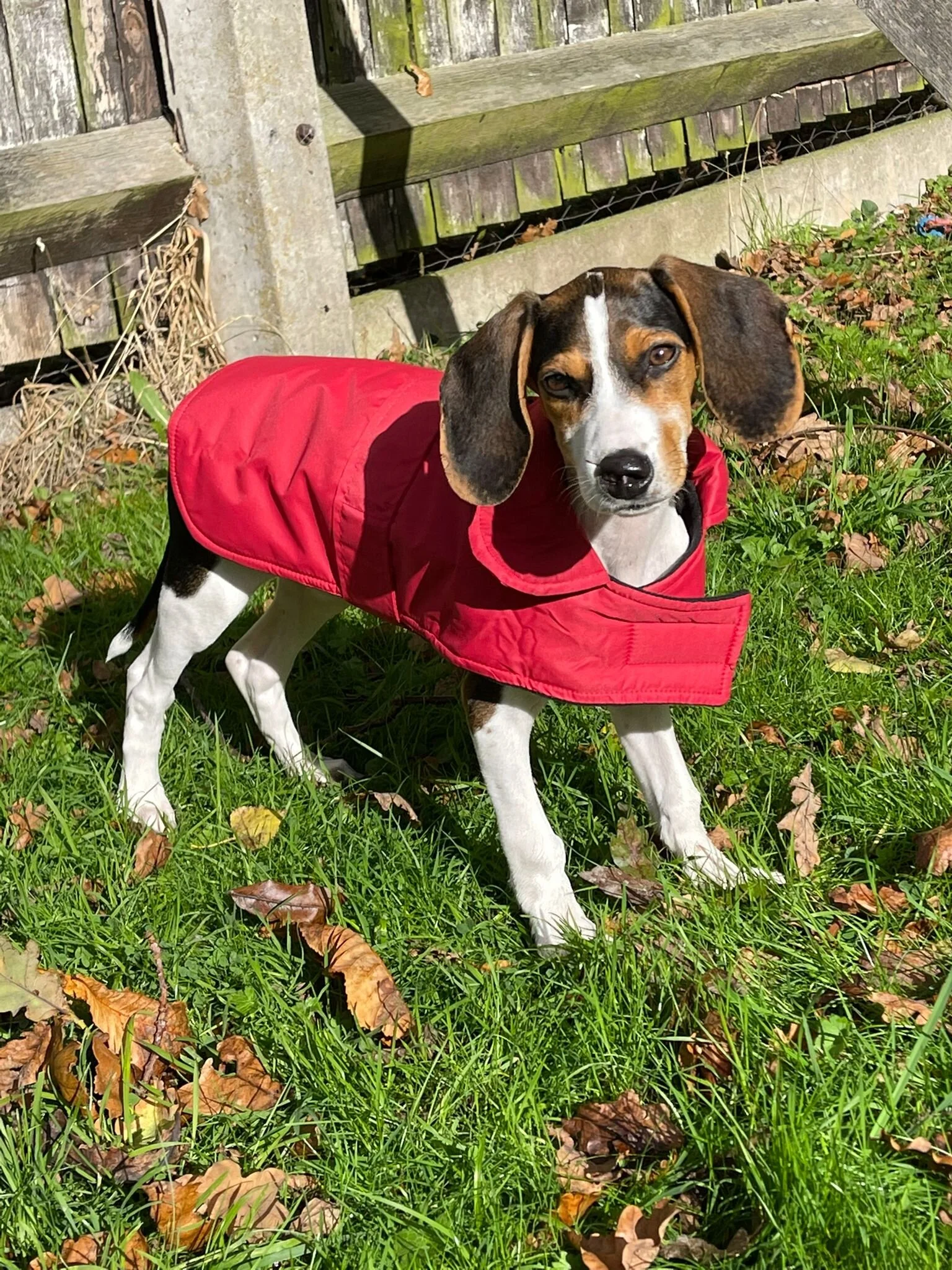 0414393F-0ABB-4884-B84E-836E2DB28C12