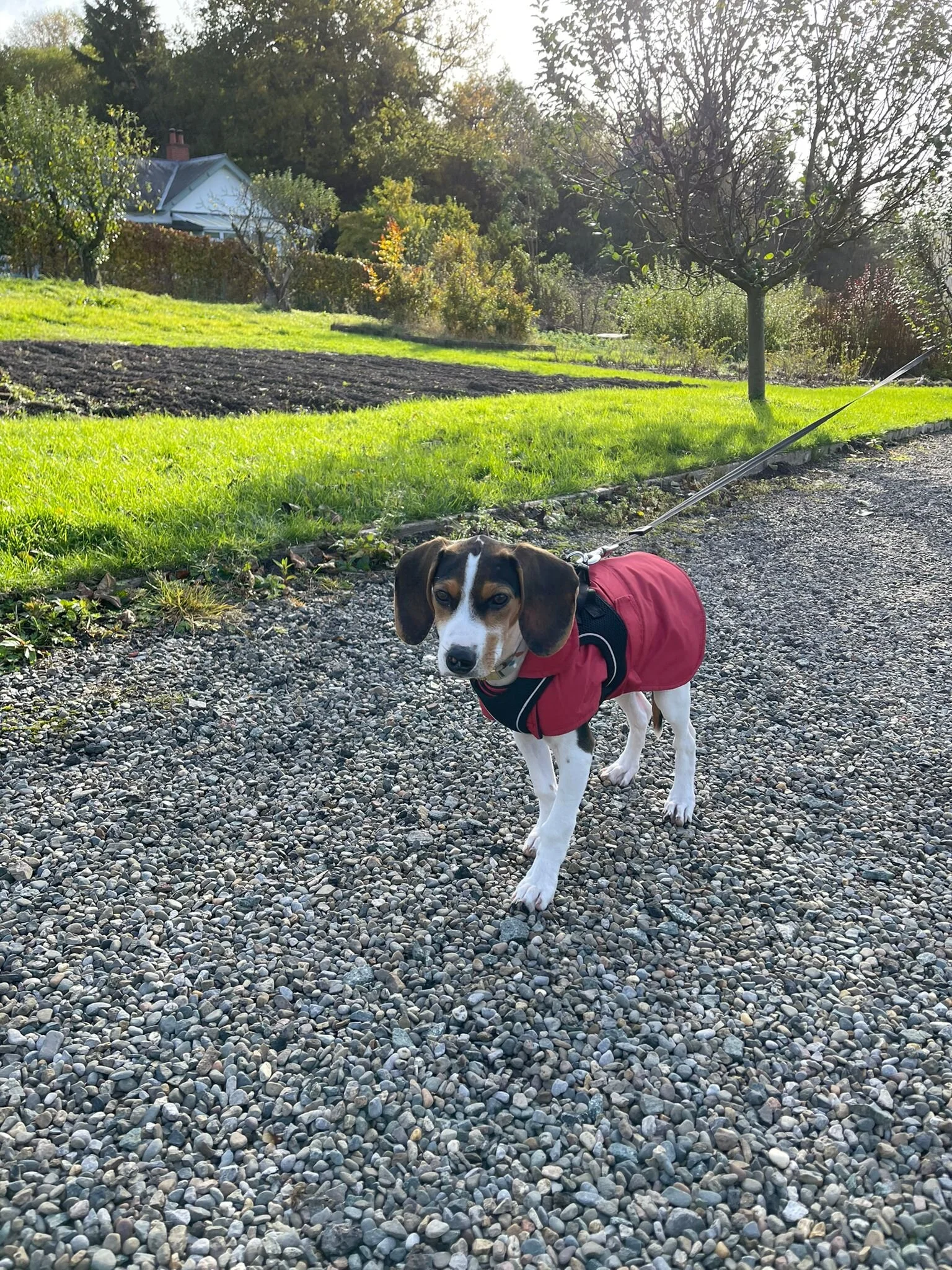 45FFEB35-9B2B-4C71-84A2-9DAD5871E781