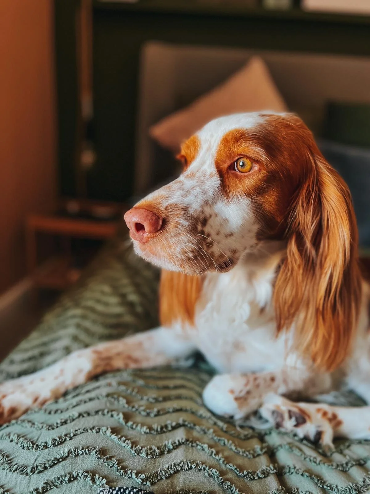 3096C9BB-4CF5-4BFC-9E4D-22C6CCCC507E