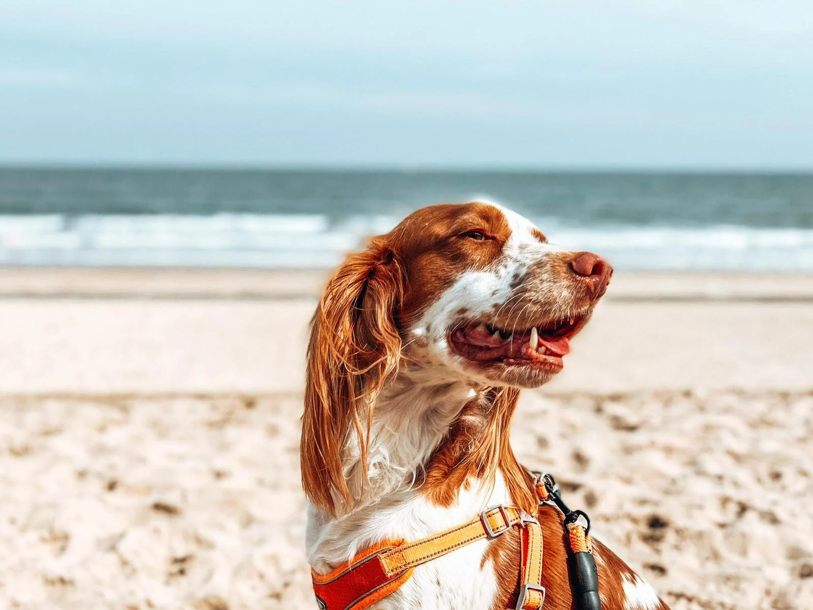 B0331523-0759-495F-B08D-ACC5EC3084D9