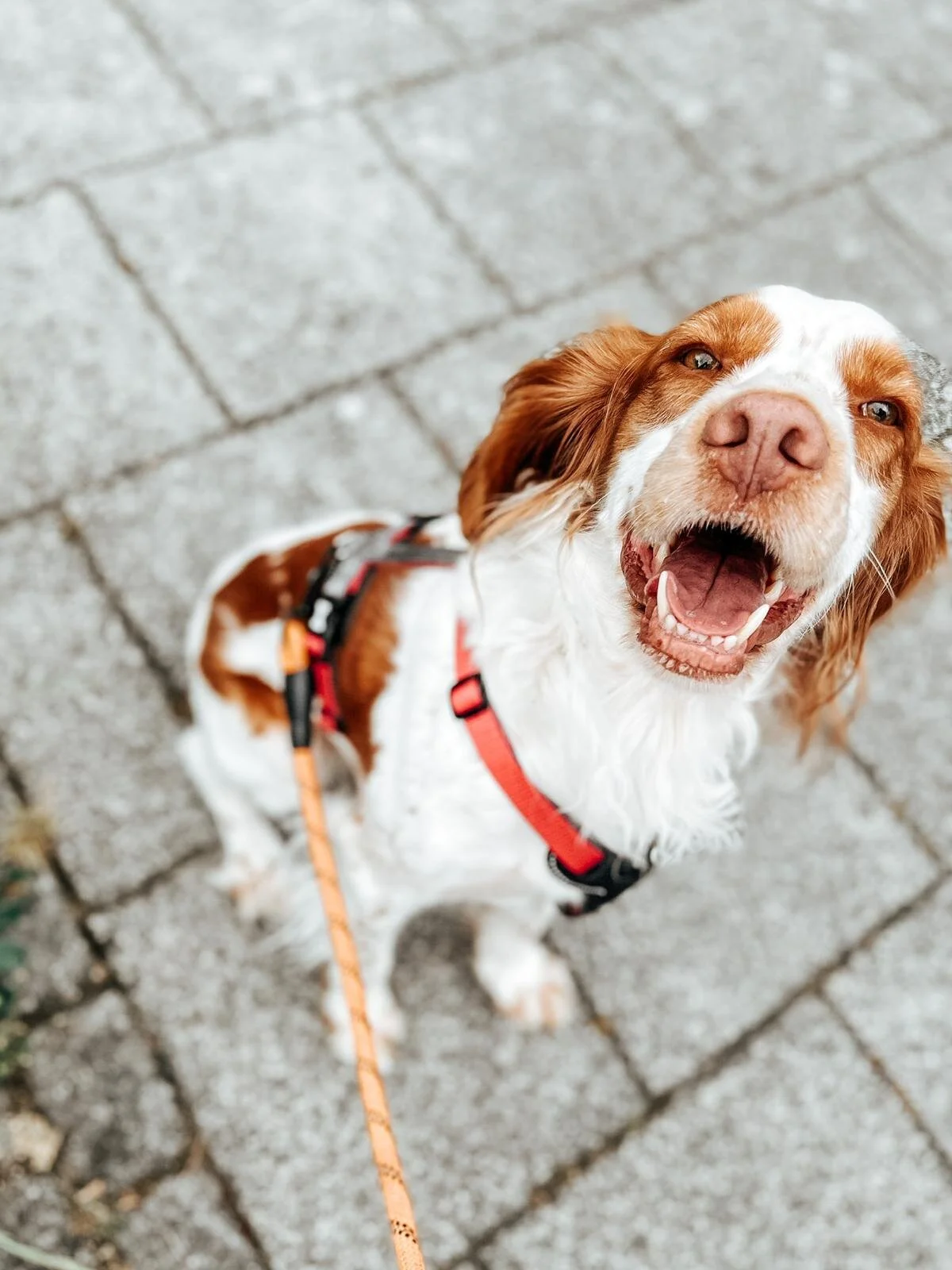 DB3B993C-3E0A-4855-BE4B-86FB75585251