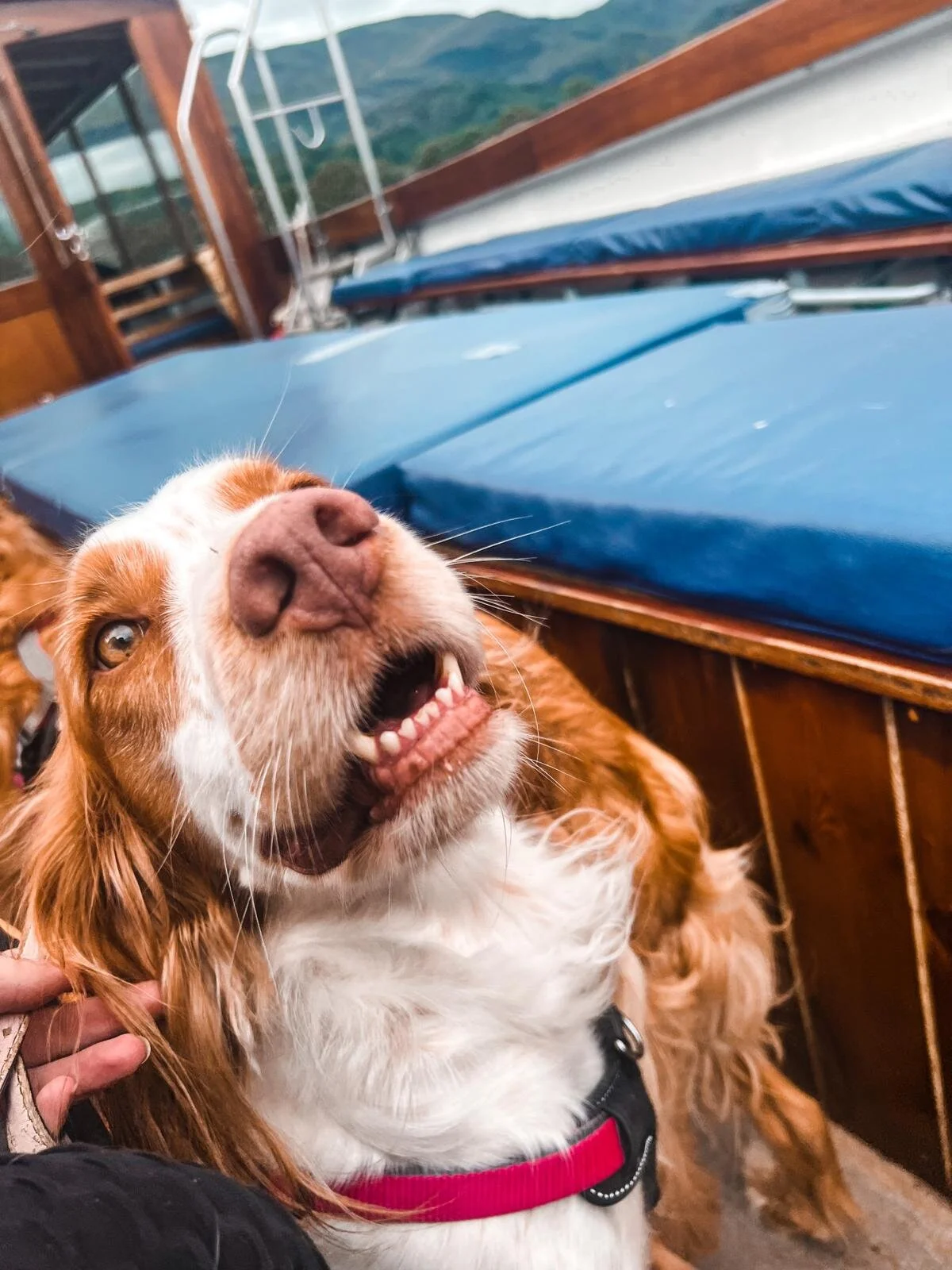 AABBA07A-4491-4DA9-9BDE-F6C3E0A95F0E