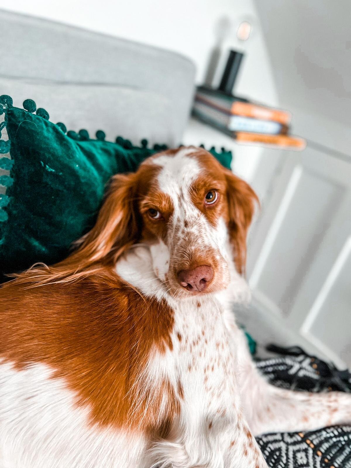 8C9BB957-D5D2-4984-8DD0-FEA198FFD562