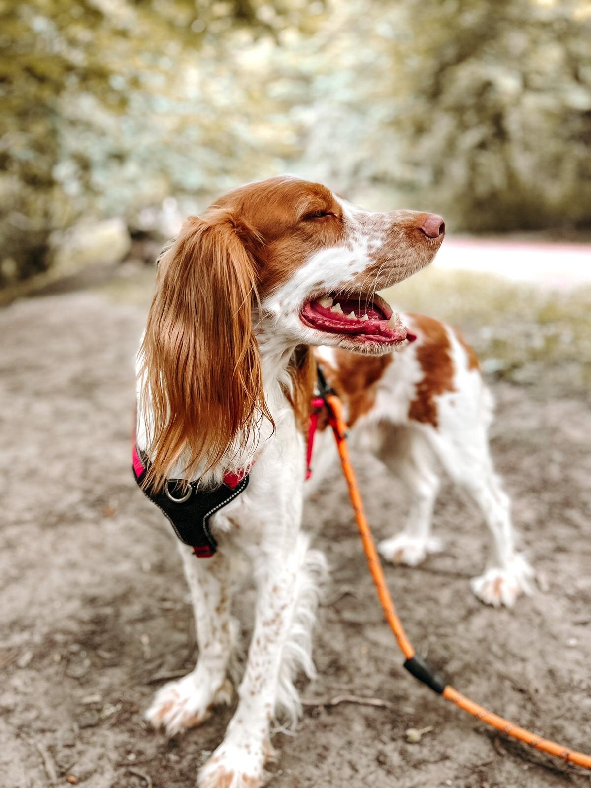 55C875C2-B7B7-4495-8815-2FF089FBA8E3