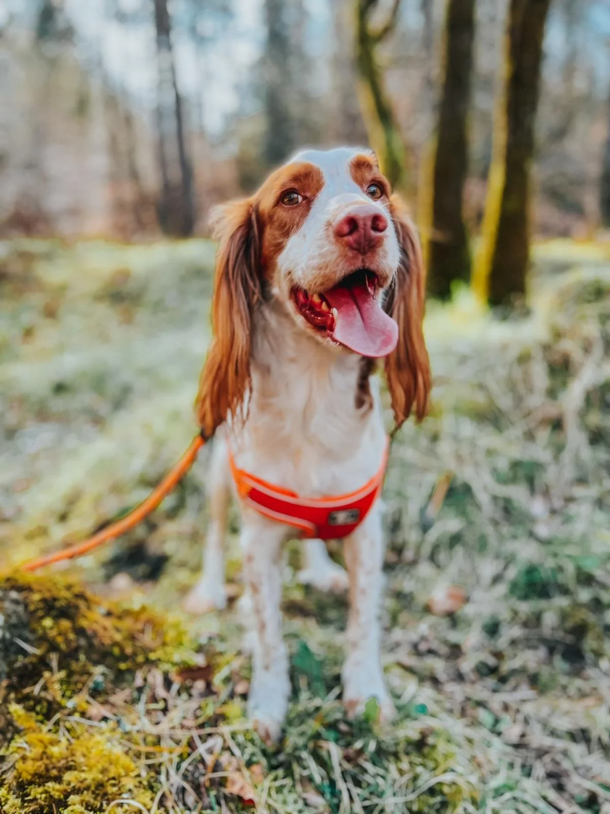 CB4EAF1D-5E6B-4316-87D0-EED6BAE80FF8