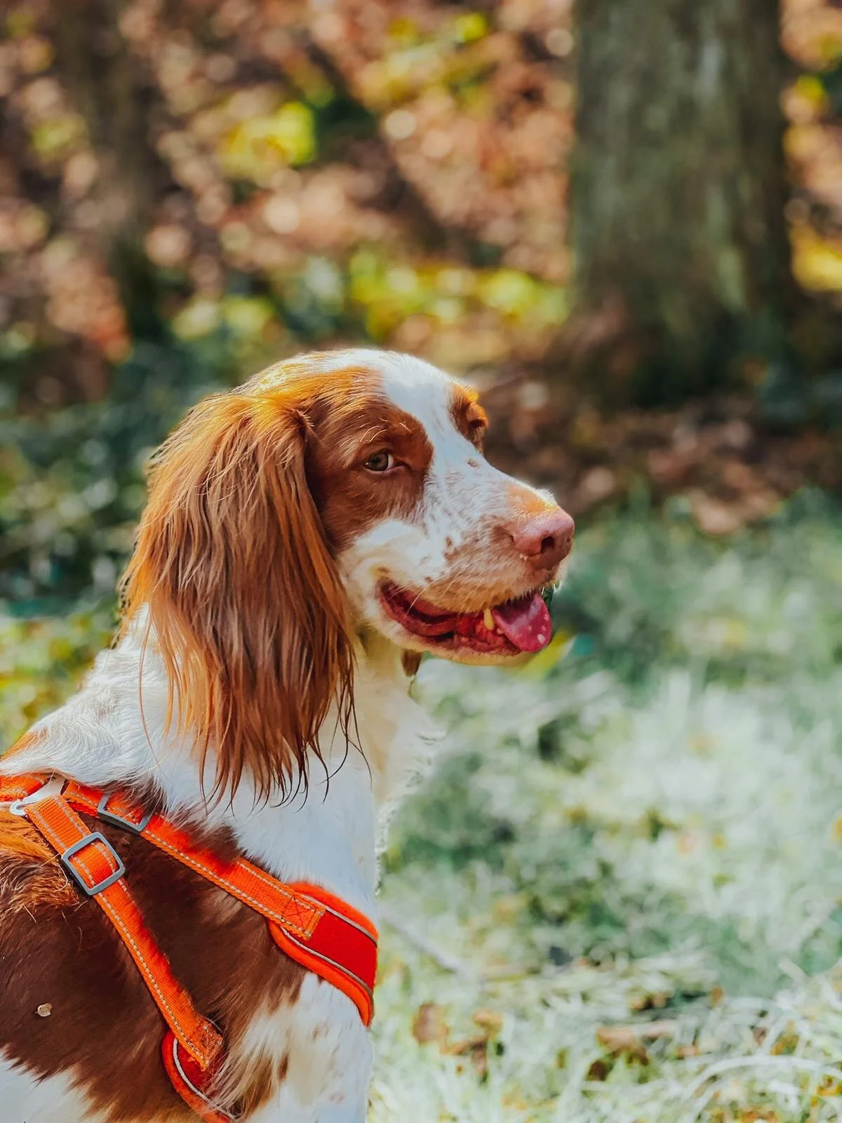 012E5C22-7166-44D0-A8A6-938282AD0E38