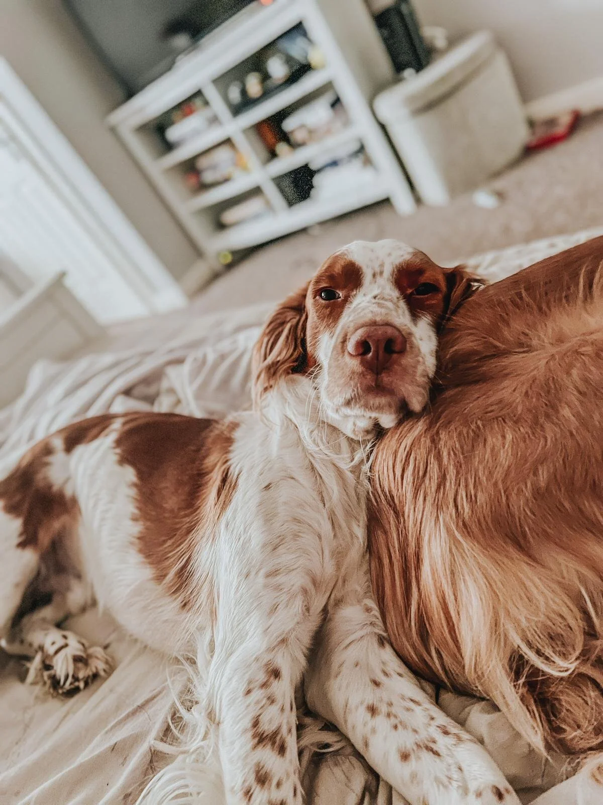 04F0B5E0-7190-4C7E-B437-8E2AAAA5841A