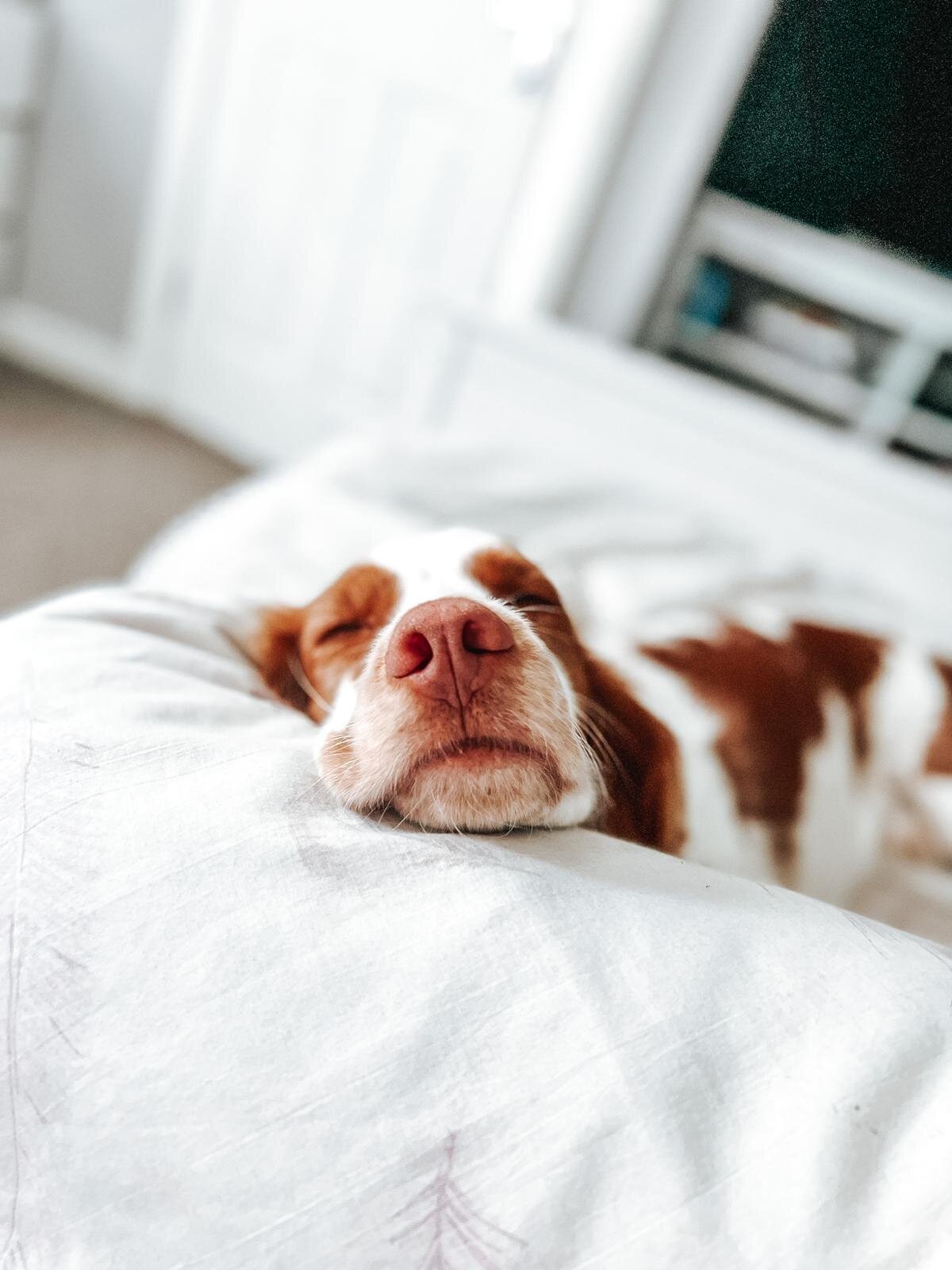 6CC4DEC8-AB82-419A-97F5-EC40BB37E675