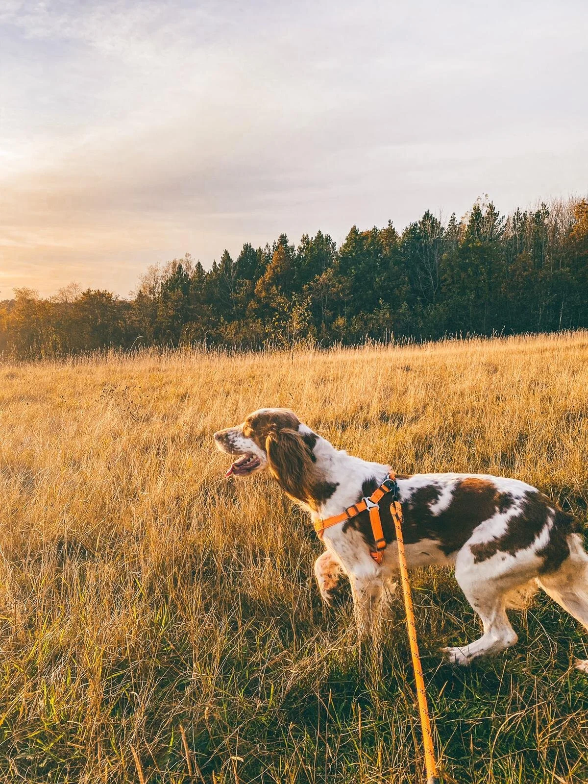 F559D4C6-FD17-4A49-8081-2561866C37B2