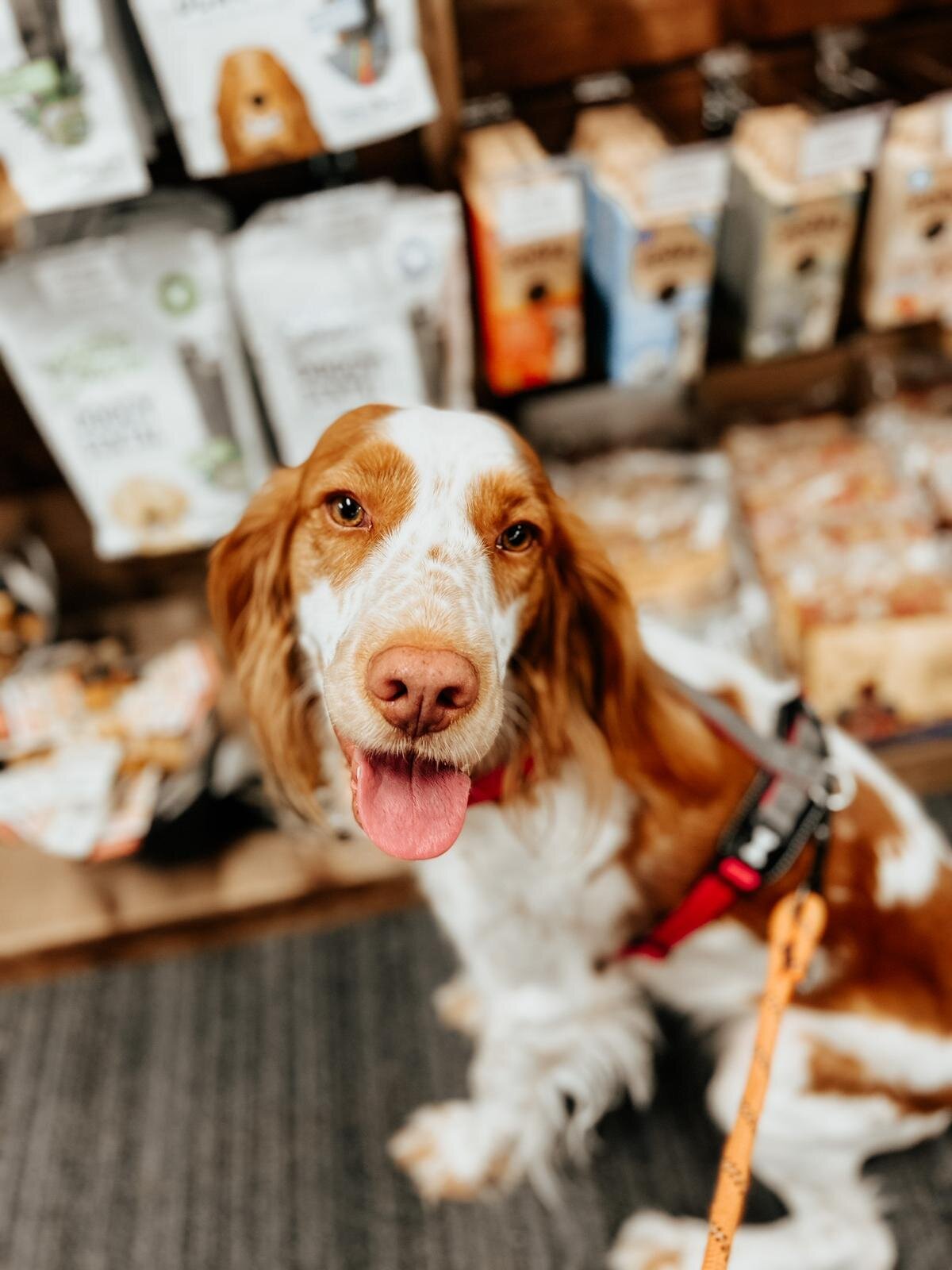 132C3EF9-04C0-4323-AF87-235CDD5C3DA2