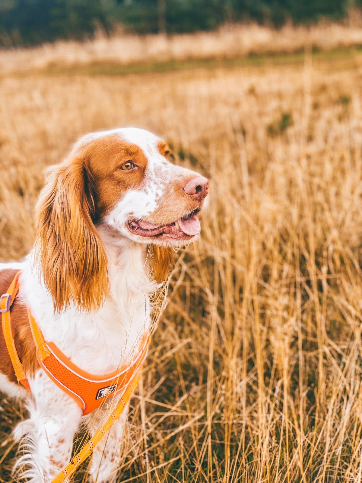 0EA1763B-C706-4091-9486-CC5A25AC7017