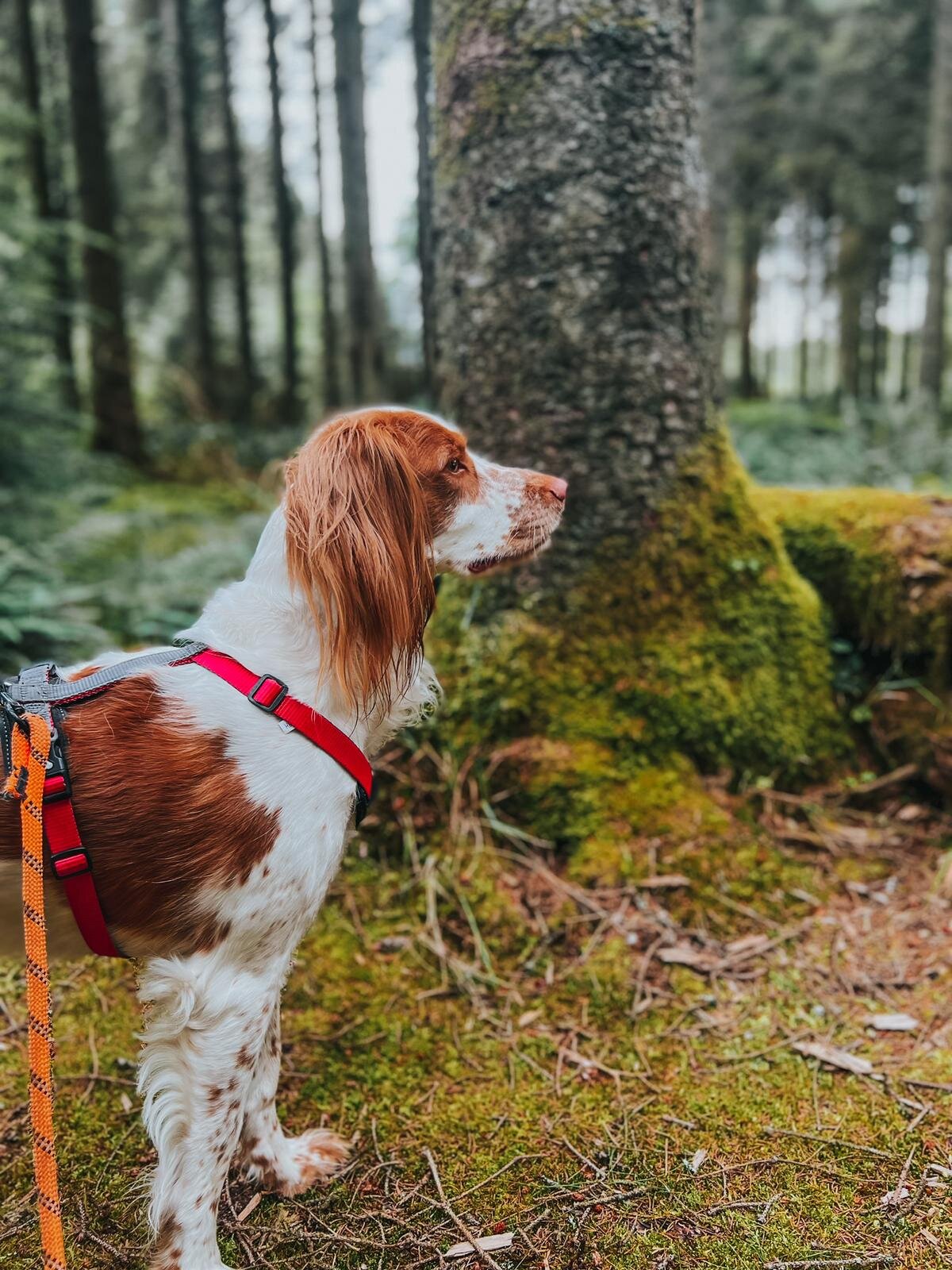 44F1CFE7-C48E-4C77-B2E6-54E20E2A13A5