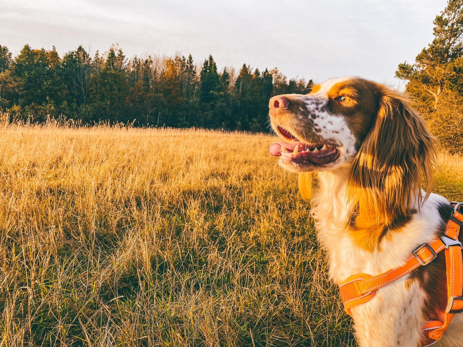 EF561247-FE2A-4664-9D1B-605A32307F4C