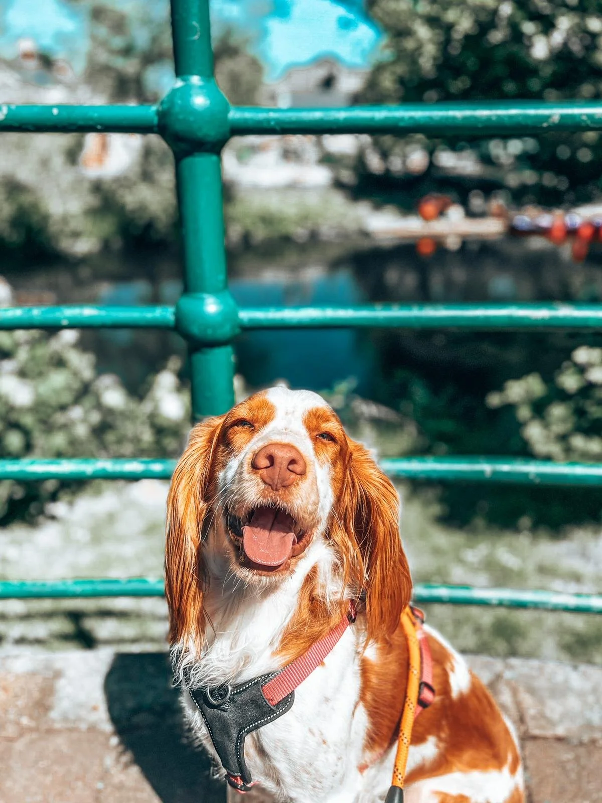 B75769BA-8B7A-4036-A869-BBF82B8D6ADE