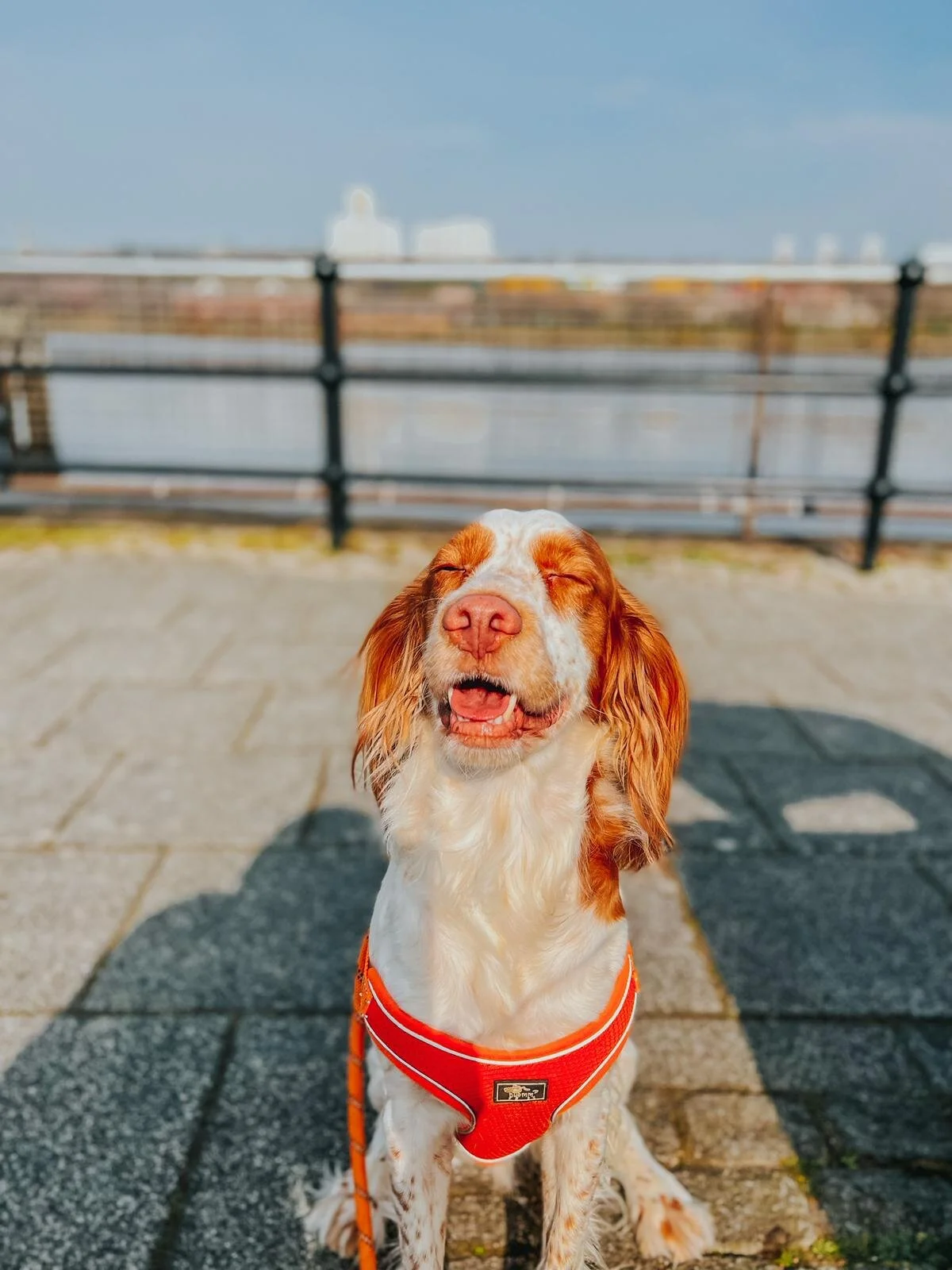 36BE2FDA-25BA-402E-A514-8F0C3A825550