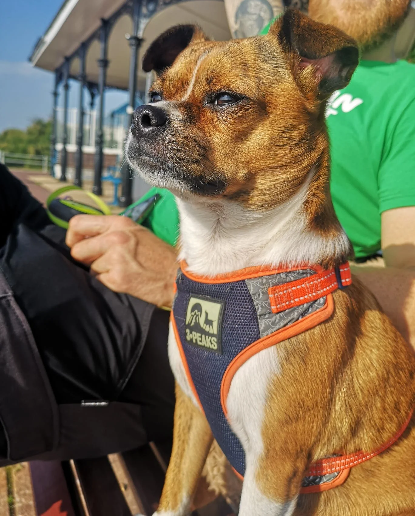 56717C50-AE59-4D85-B556-05CBE6DC5F10