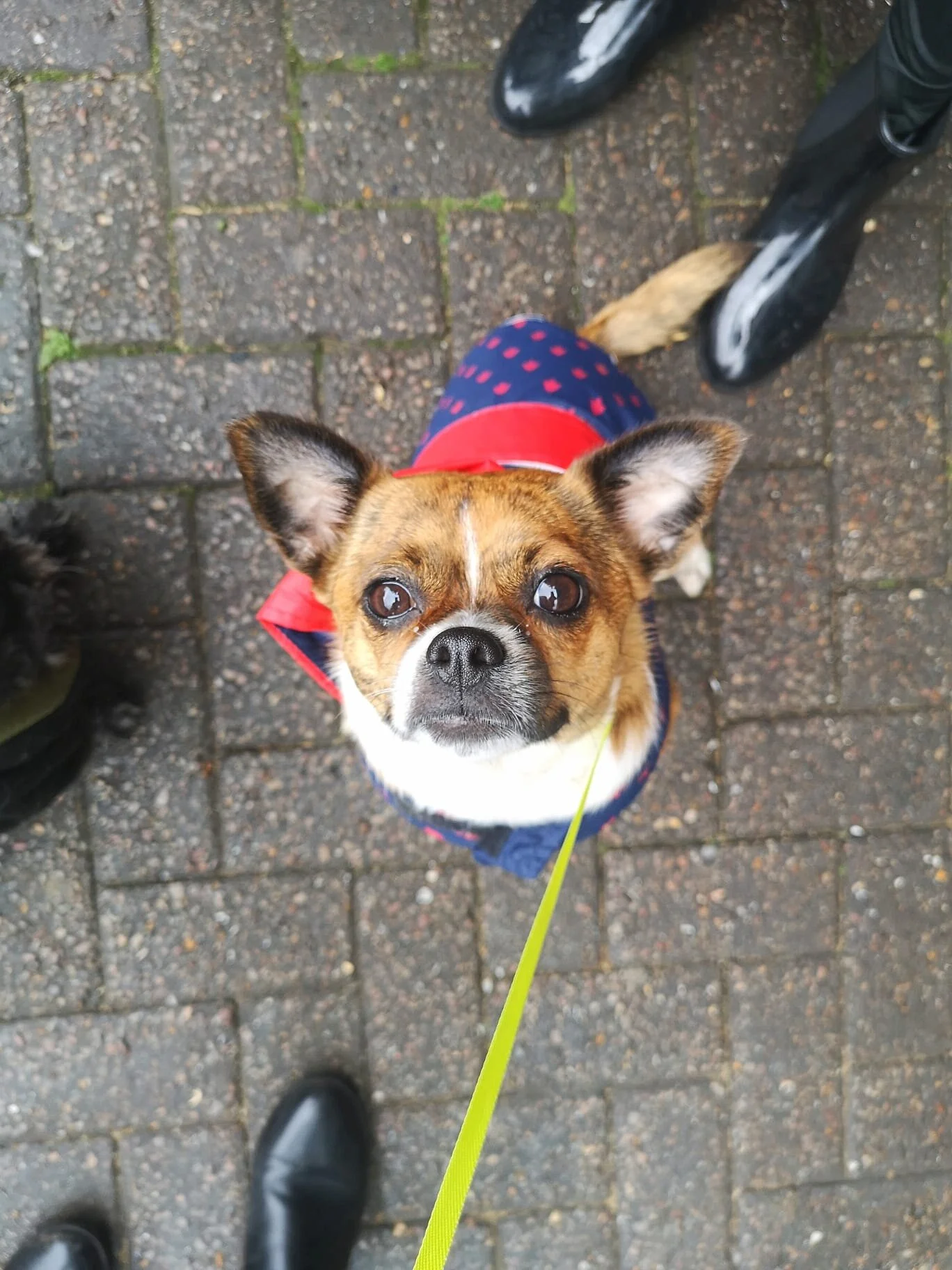 6E6660E8-2C96-4AEB-BBD5-7D5E3FD16AA0