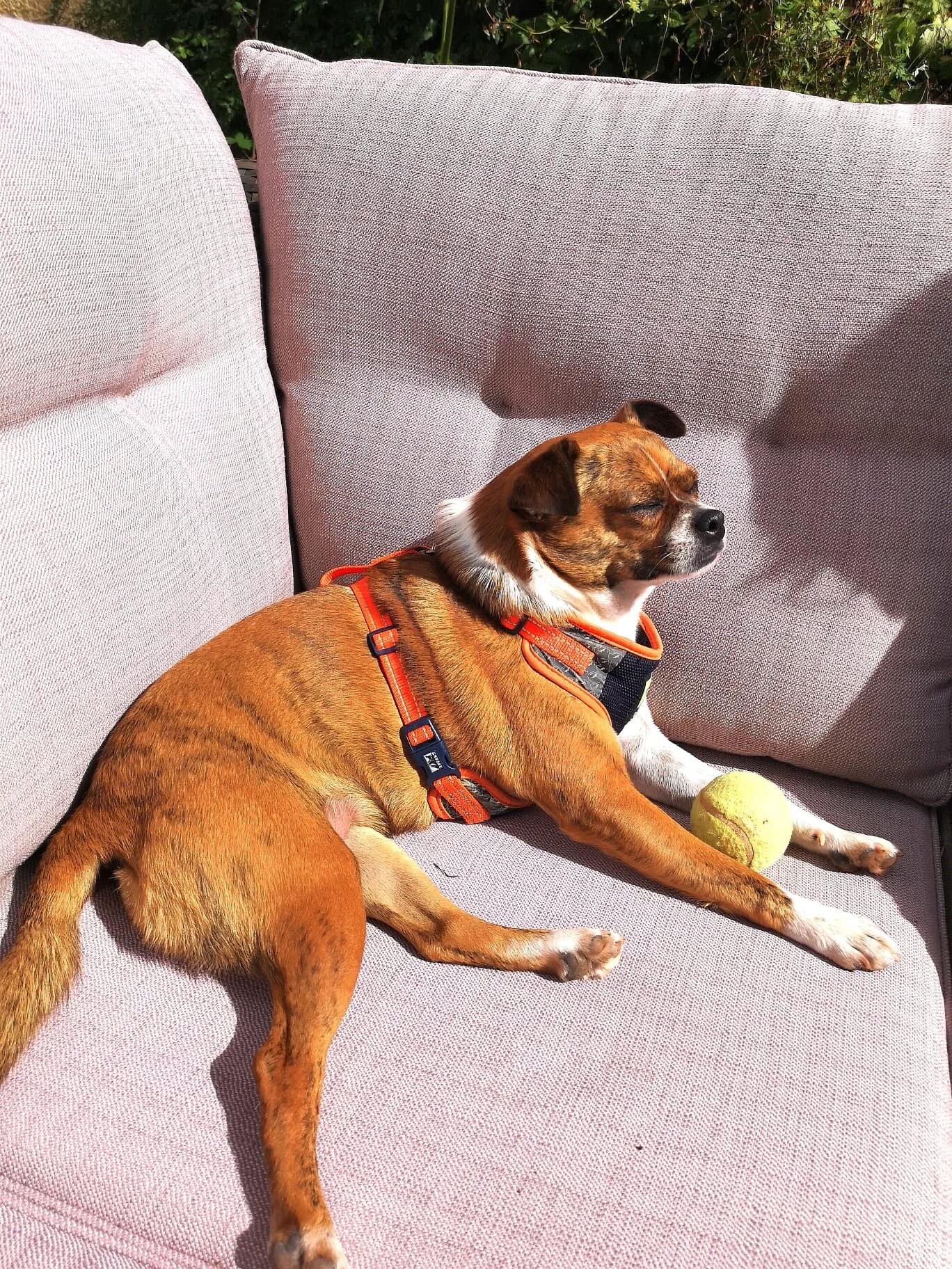 90846DAB-AE23-4DD8-B2B3-FBABEB9A4792