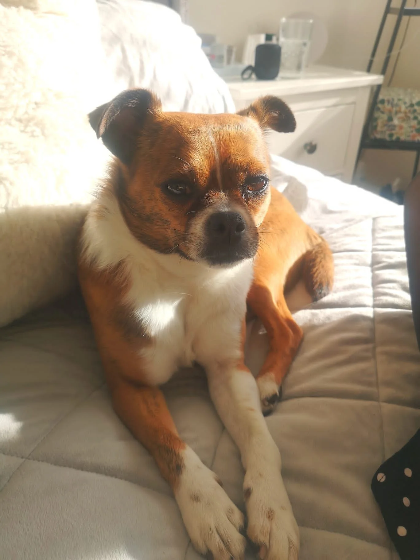 A06DAE66-D97A-4A94-8140-312640D31769