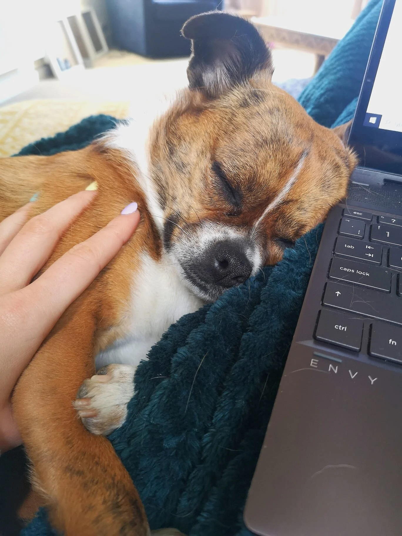 629768DF-0930-4A92-AB64-17A2DB3722AA