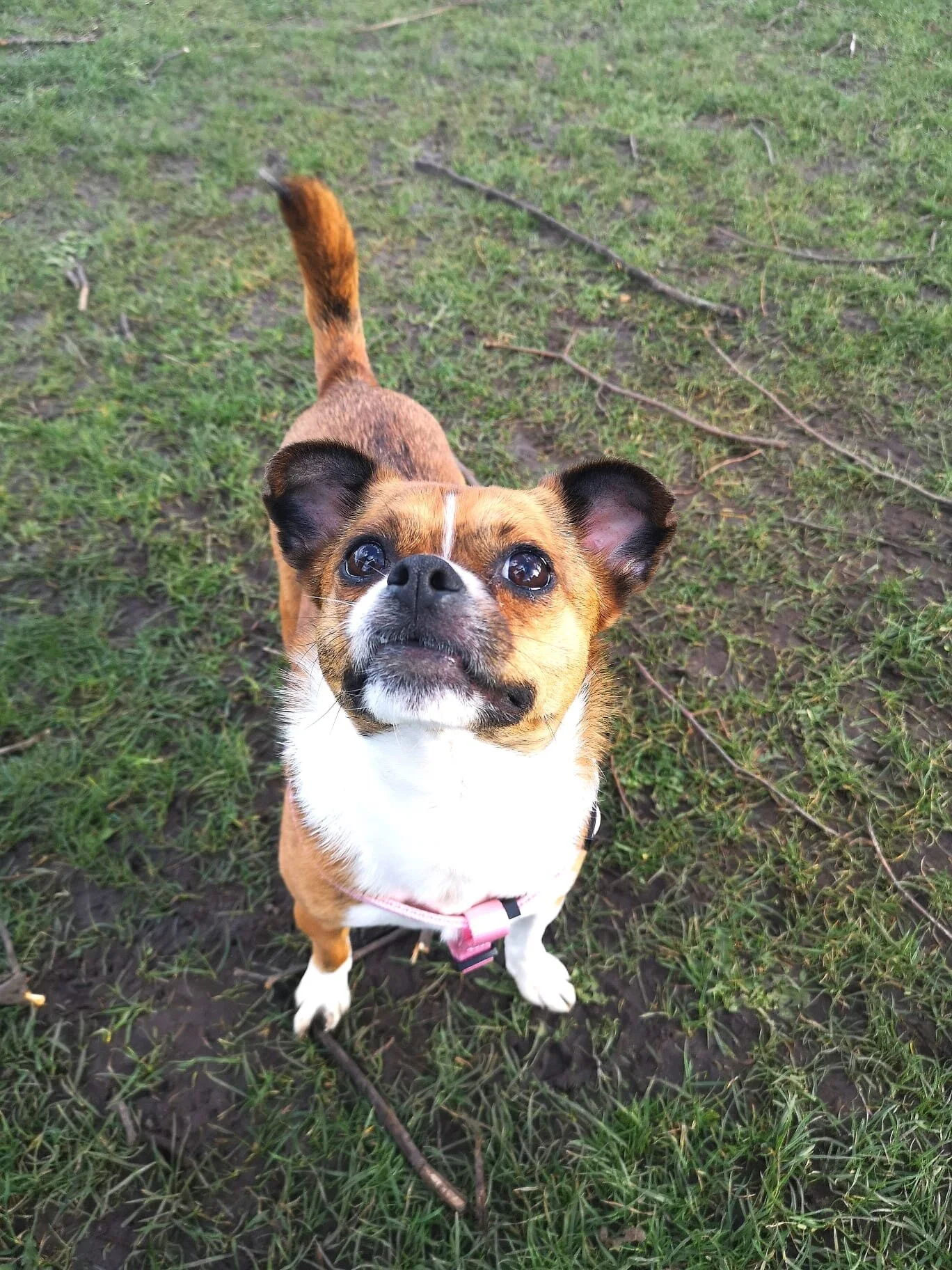 01932981-E888-442A-9690-CC12CBE14E04