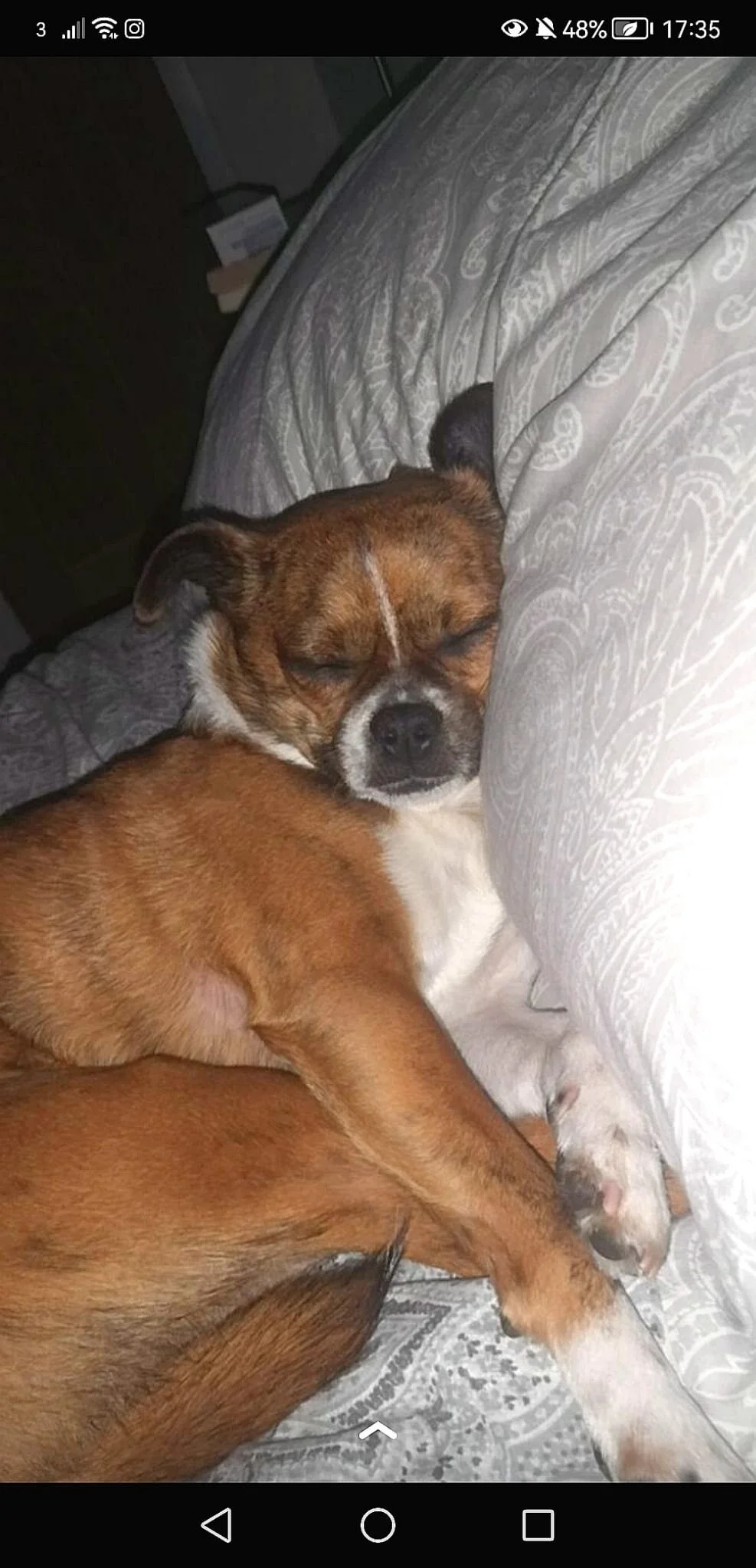 AEC7F61C-B7E5-49DF-9D4E-9A906338F3A7