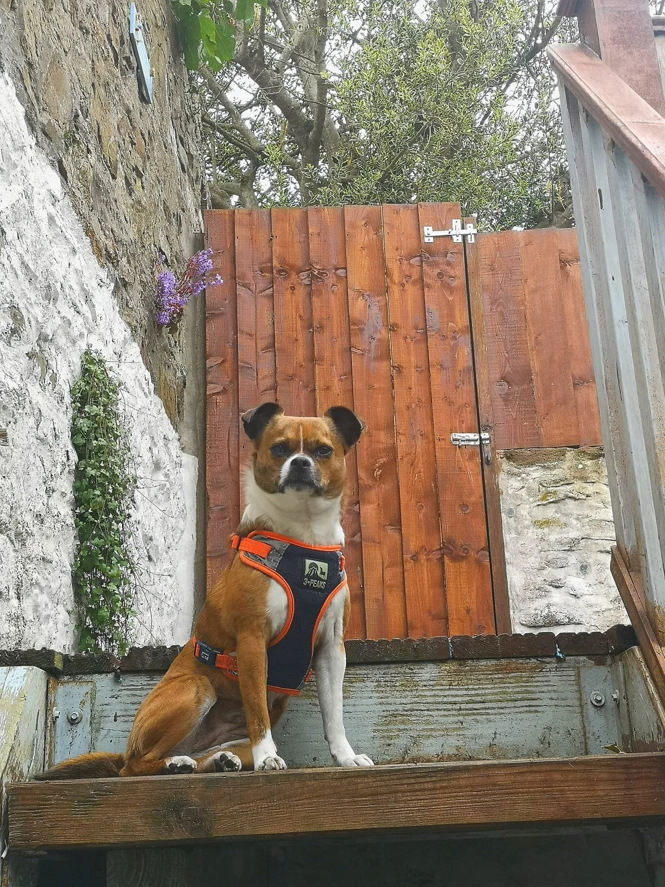 104100F6-7FB1-4D96-9F65-BA3A95666D30