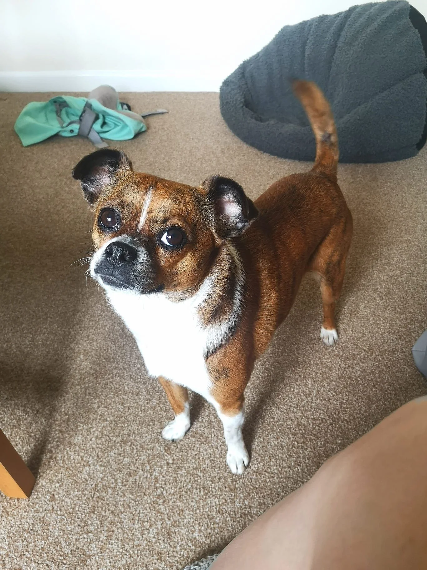 CE455F64-0B10-417C-9E5A-5CA184C7DA47