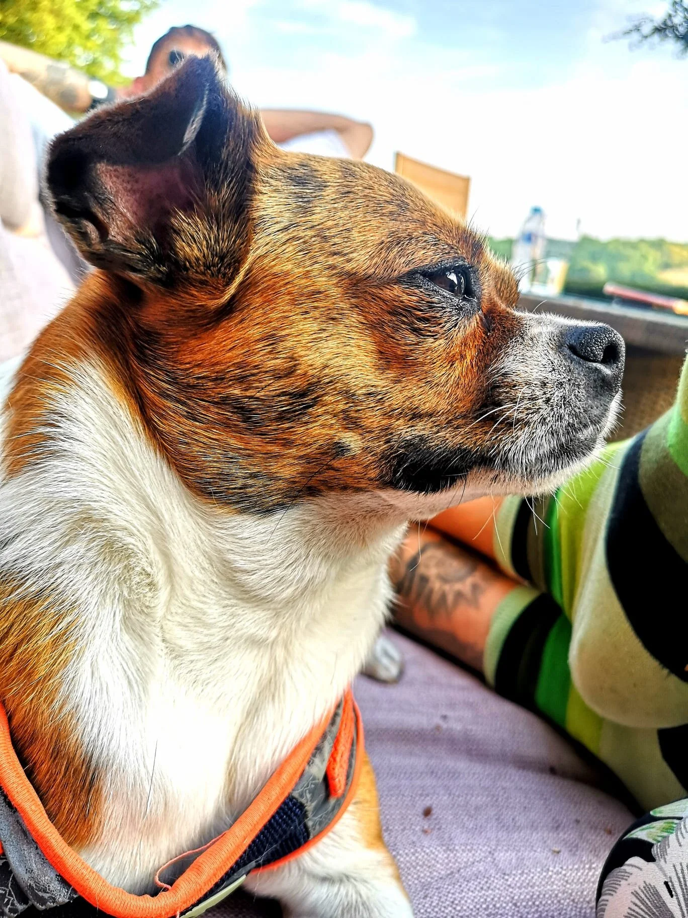 E6C9B176-357D-4090-8727-DB32E7D5451F