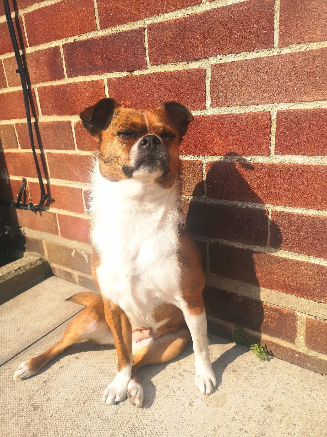 3E08D518-A70B-444A-ACA6-004E0ACCD7AC