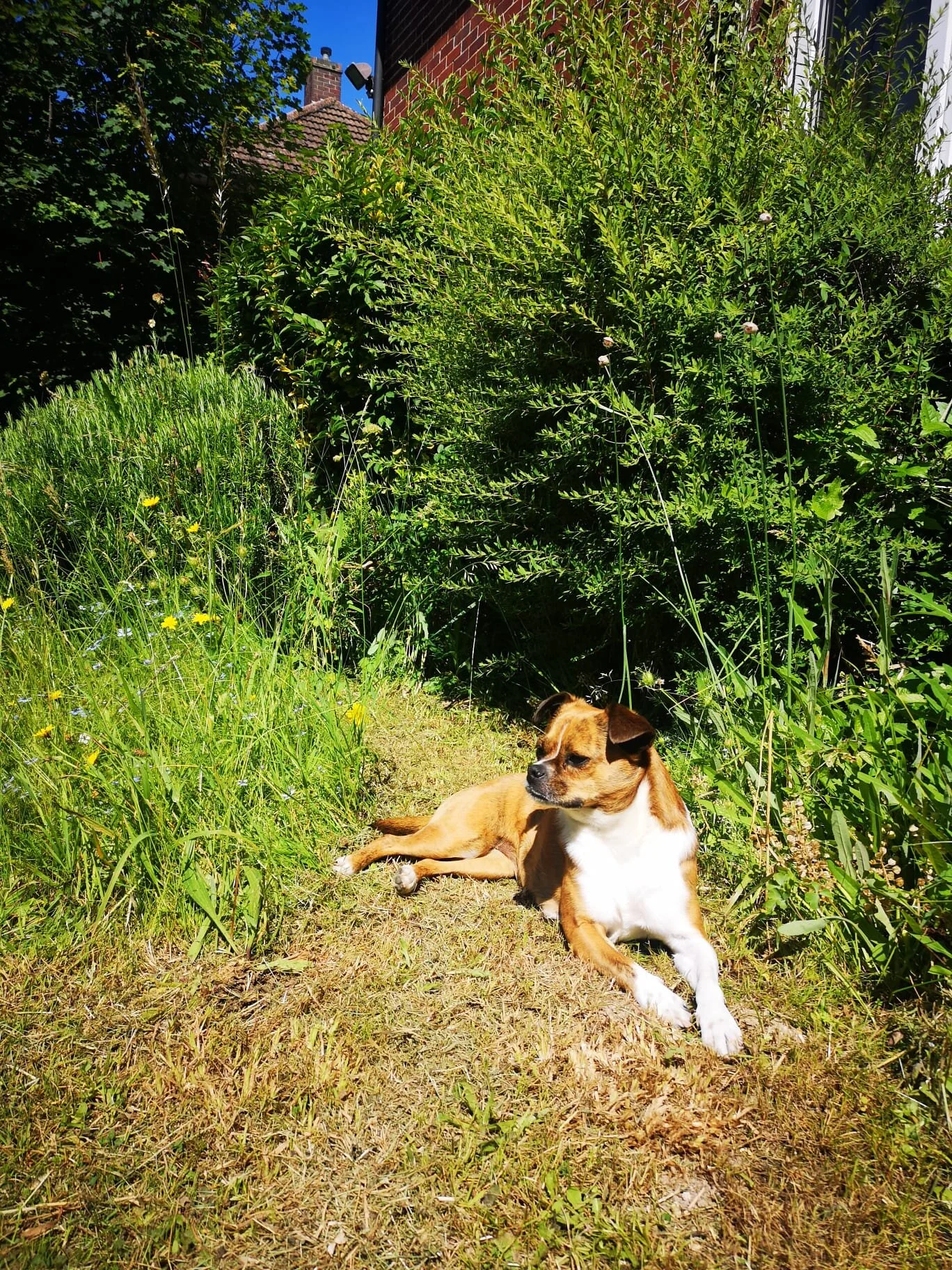 F837F140-1BF7-492C-8A57-D2AFD9736BE7