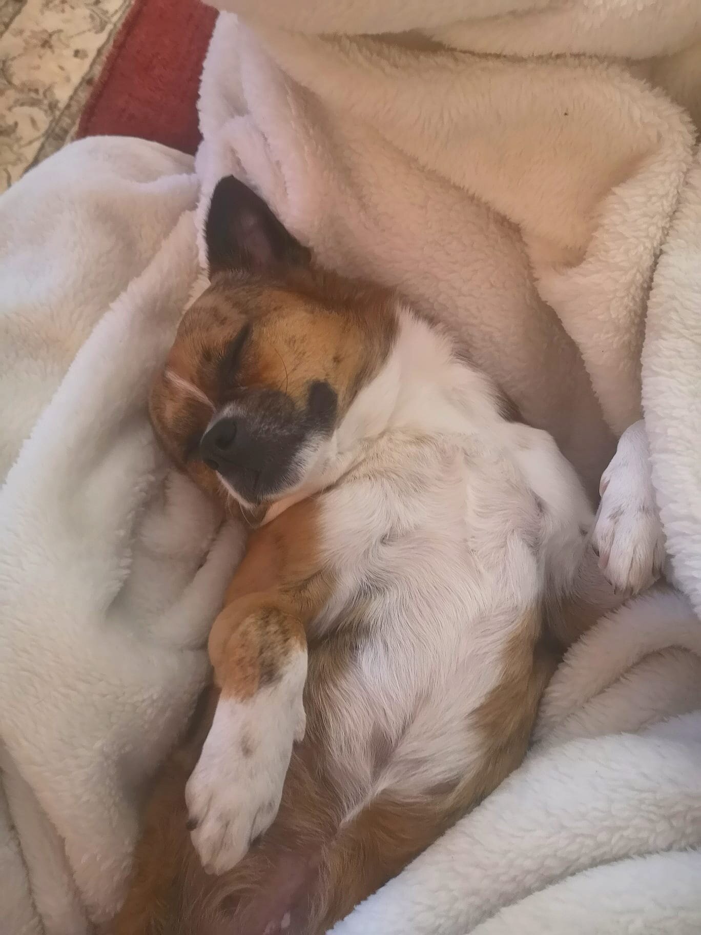 5ACEE6B5-3358-4AA0-BC44-91EDD31A3962