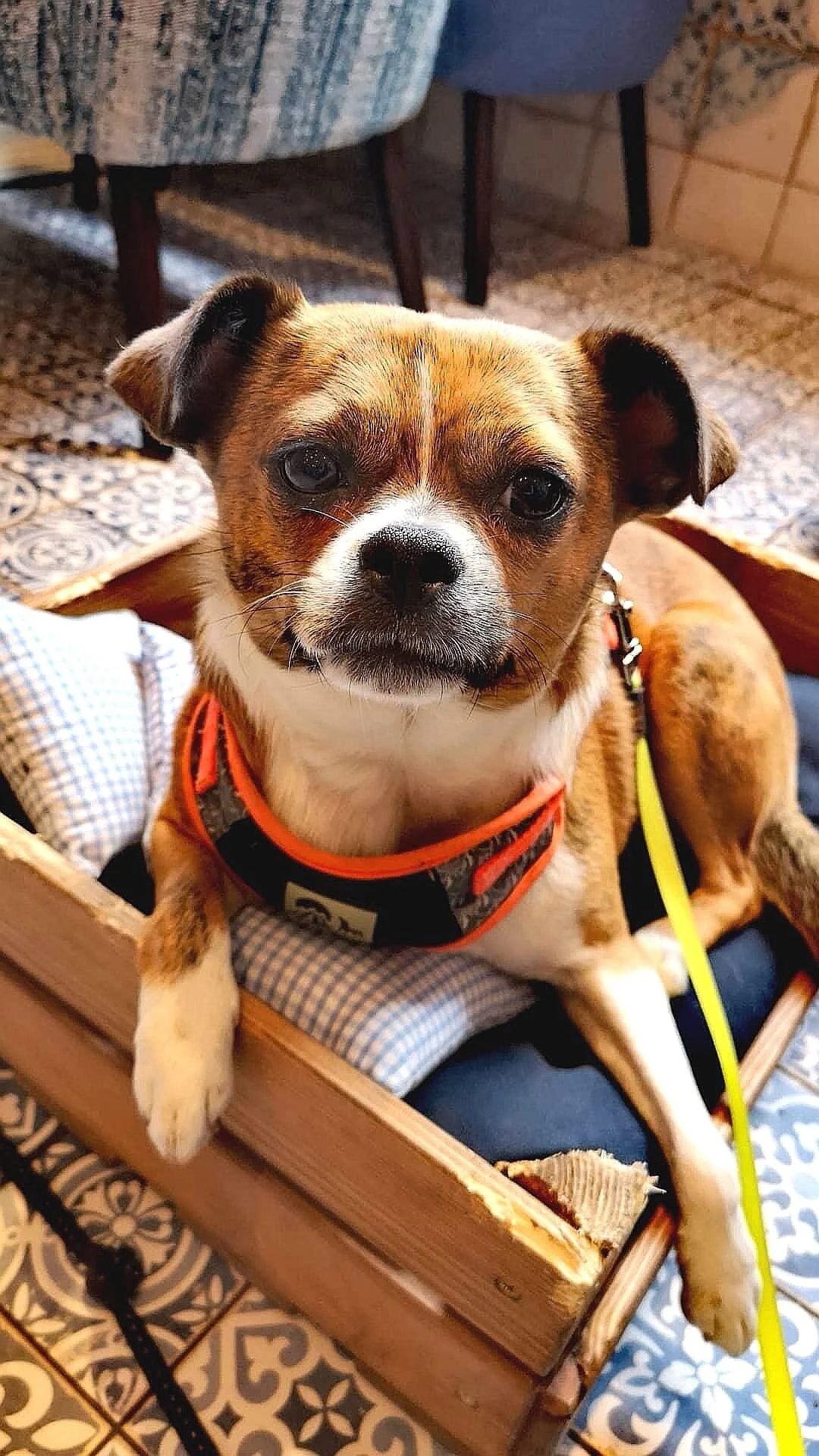 A365B7E8-8535-4EB0-9CDE-2ECC16435F94