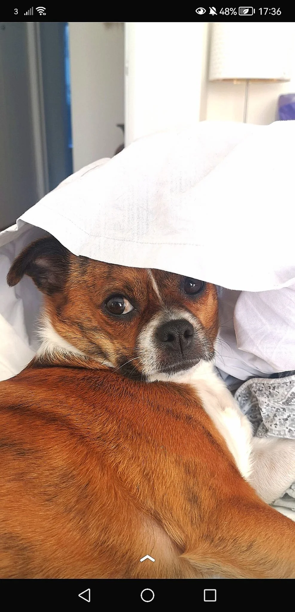 7B506D88-815B-488C-9321-0FF9F298B5AE