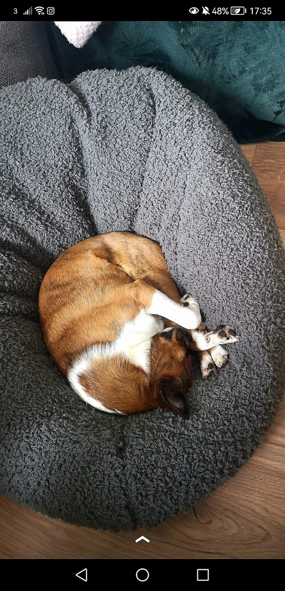 E26B9C1B-0B2C-4A95-97C4-7D516701748B