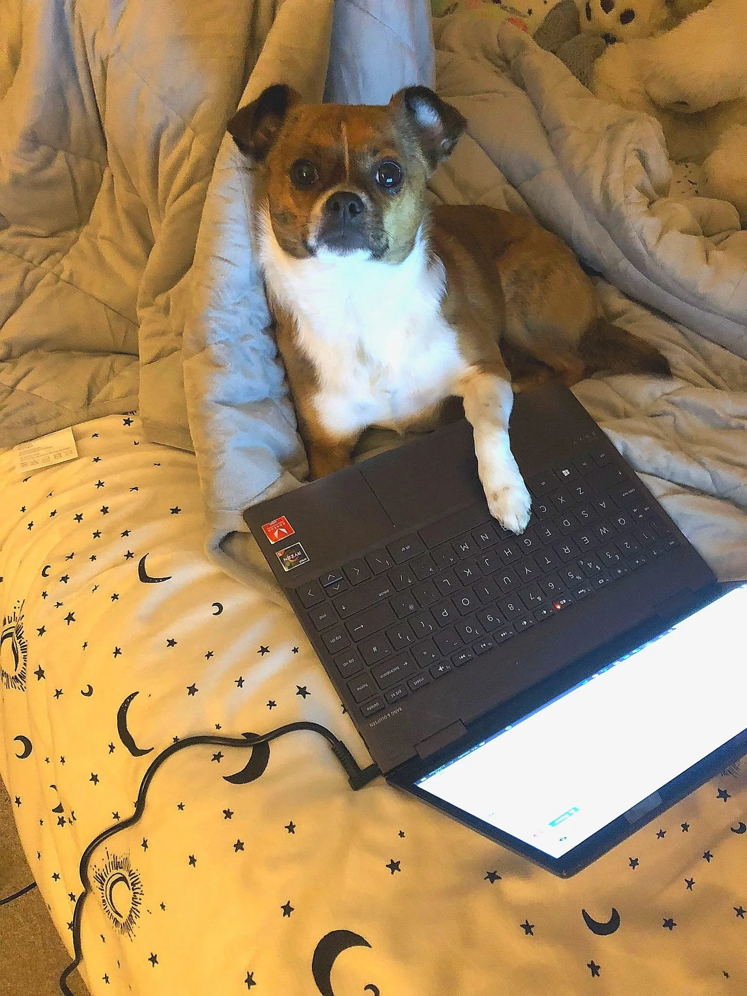 C8538161-D914-4F75-B49A-A9F7ECFF7730