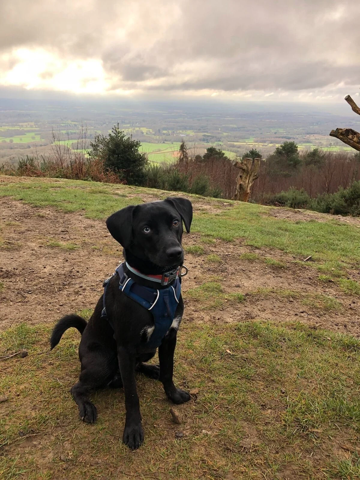 DC85165A-80DE-4270-A945-46C037B9259E