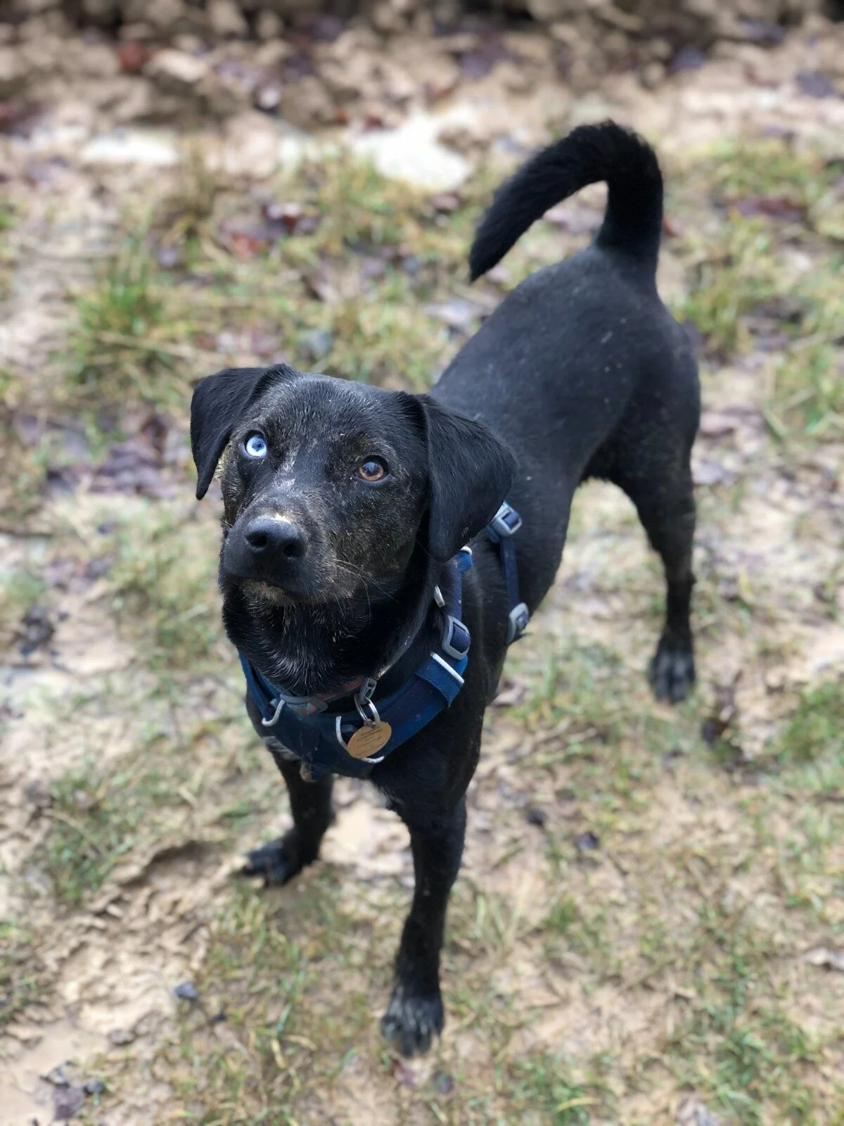 8EA10469-3E47-485C-98DC-4AE675637BB5