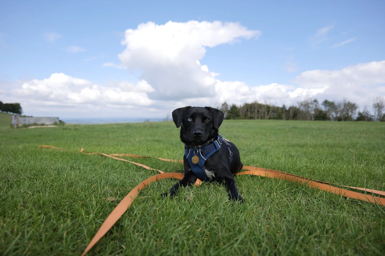 57F4EF3B-9346-4157-AAEA-5CC7B9CE6825