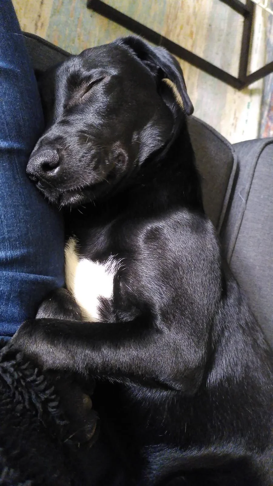 9E770B6F-948D-4EA3-AEE1-225B007E26E1