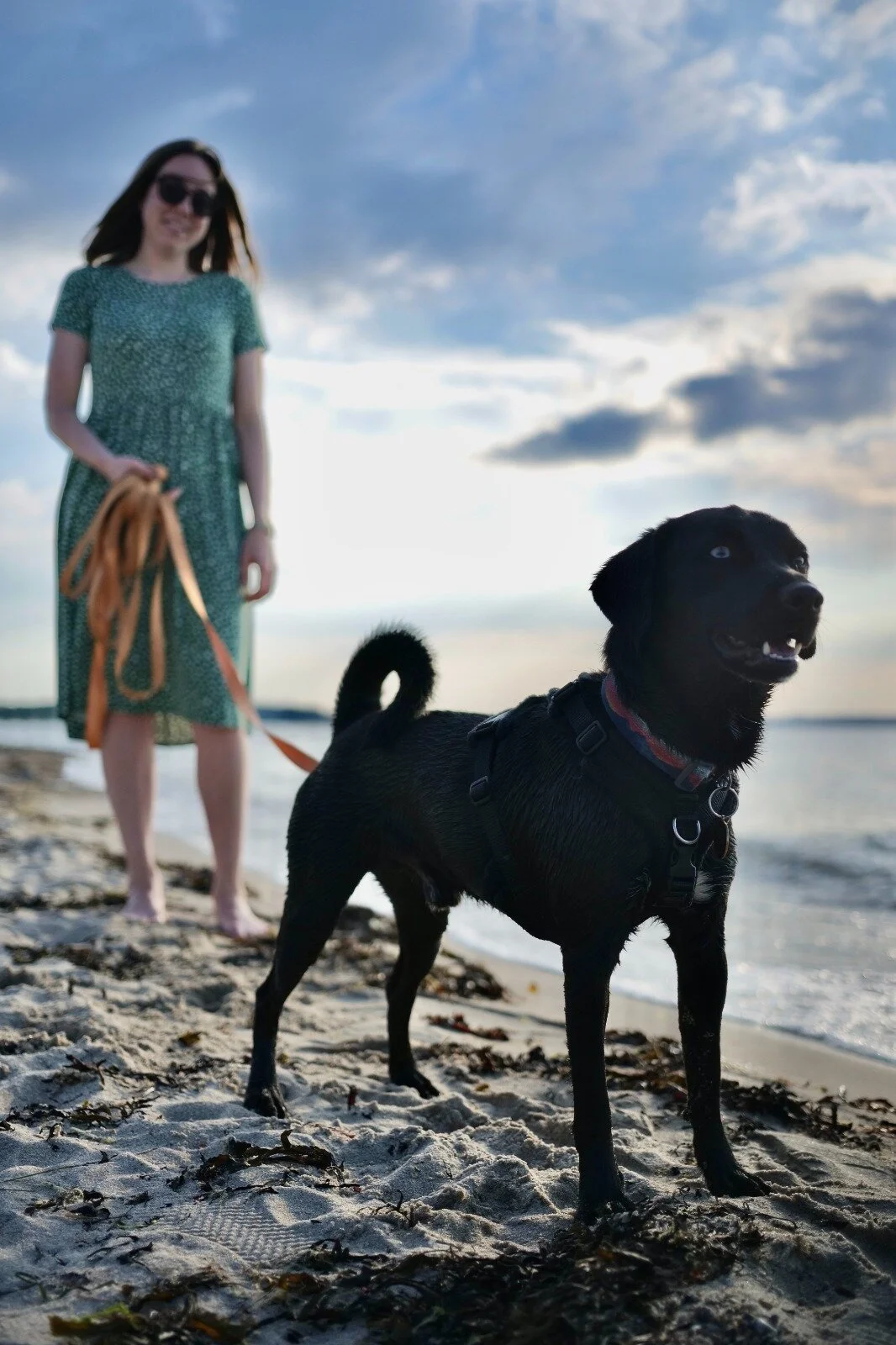 4ADABD19-7890-4780-80DE-19FACC2CE034