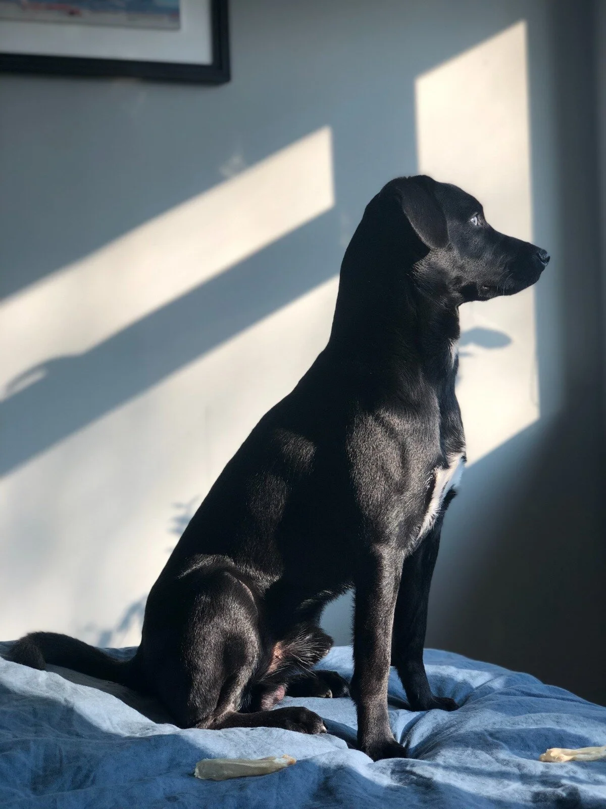 9AD46082-BF80-4D42-B59D-6D8F3BE0B966